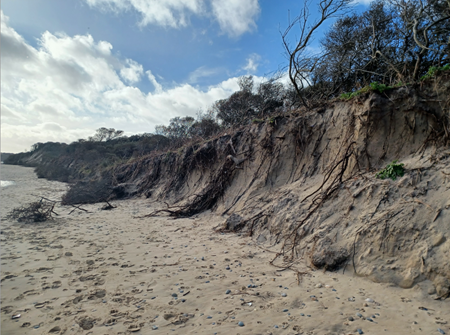 Coastal Erosion